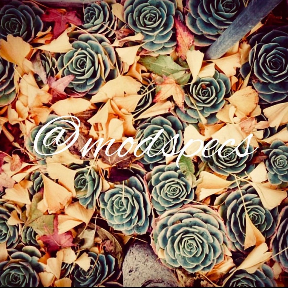 Hello, it’s Jenna and Lari! Thanks for stopping by!!